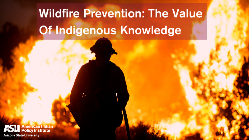 Wildfire Prevention: The Value of Indigenous Knowledge 