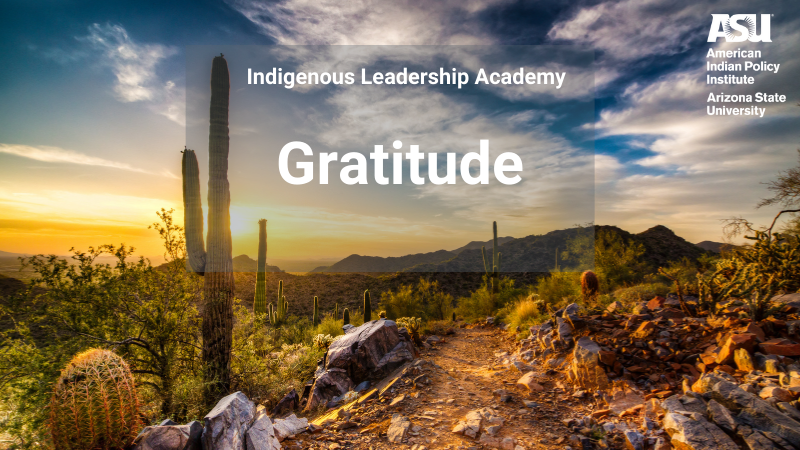 Gratitude ILA Blog- Gratitude