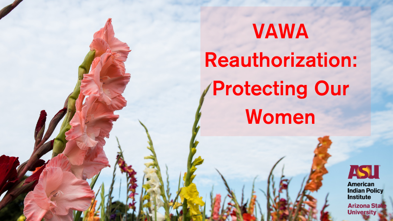 VAWA: Protecting our Women