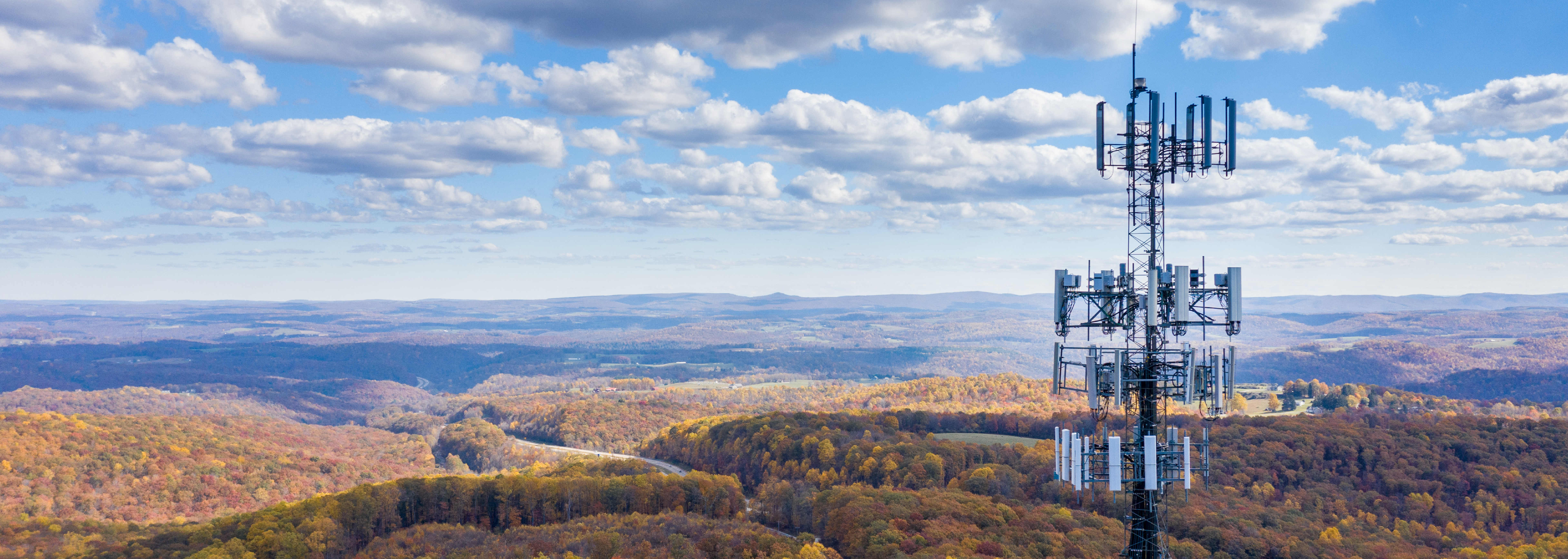 Cell tower overlooking the forest.